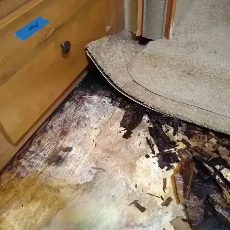 Best Wood Floor Water Damage Service in Henderson, NV